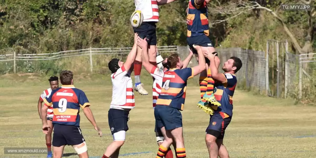 📺高清直播,零时差狂欢!锁定屏幕,不错过每一个绝杀瞬间!